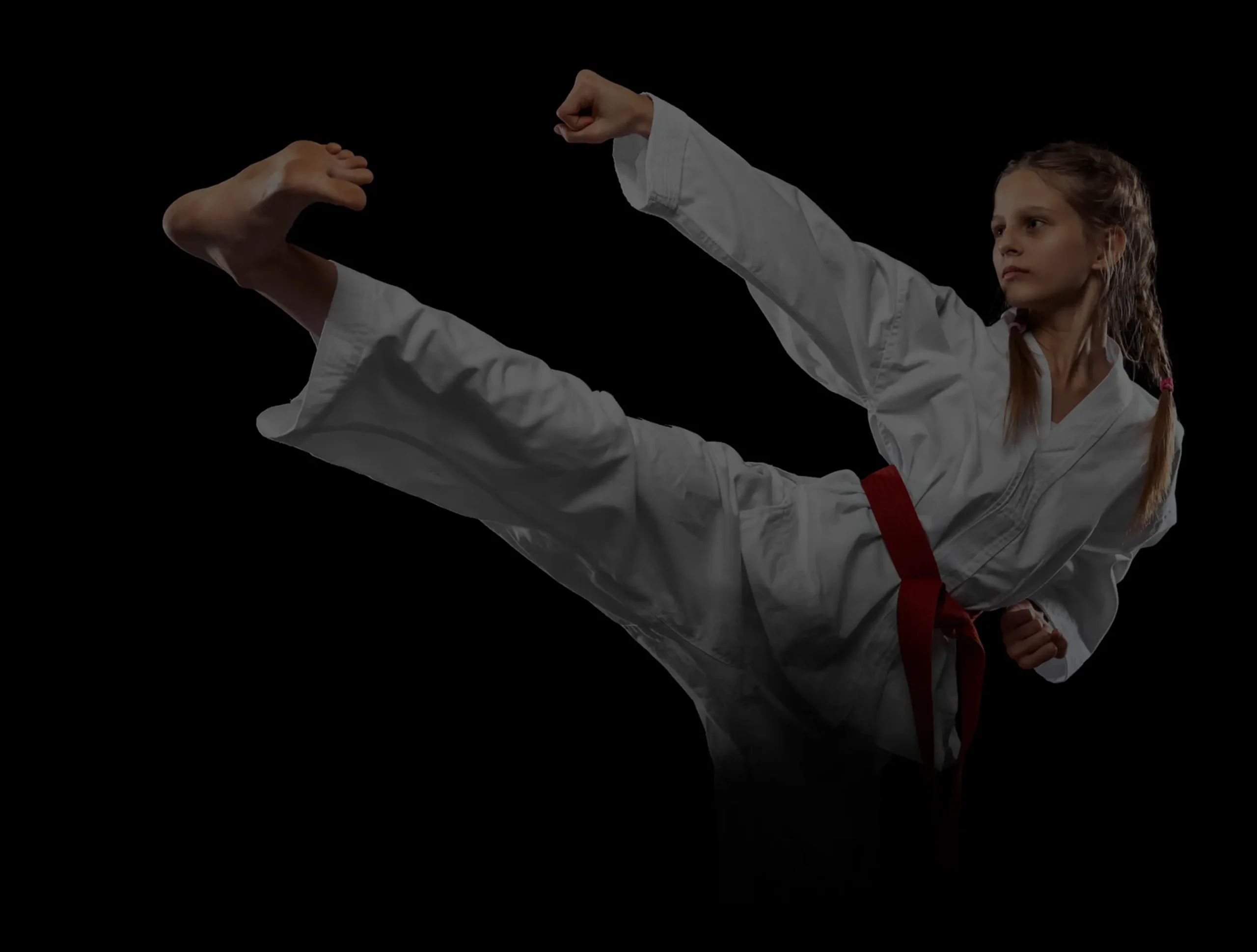 Background Portrait Image