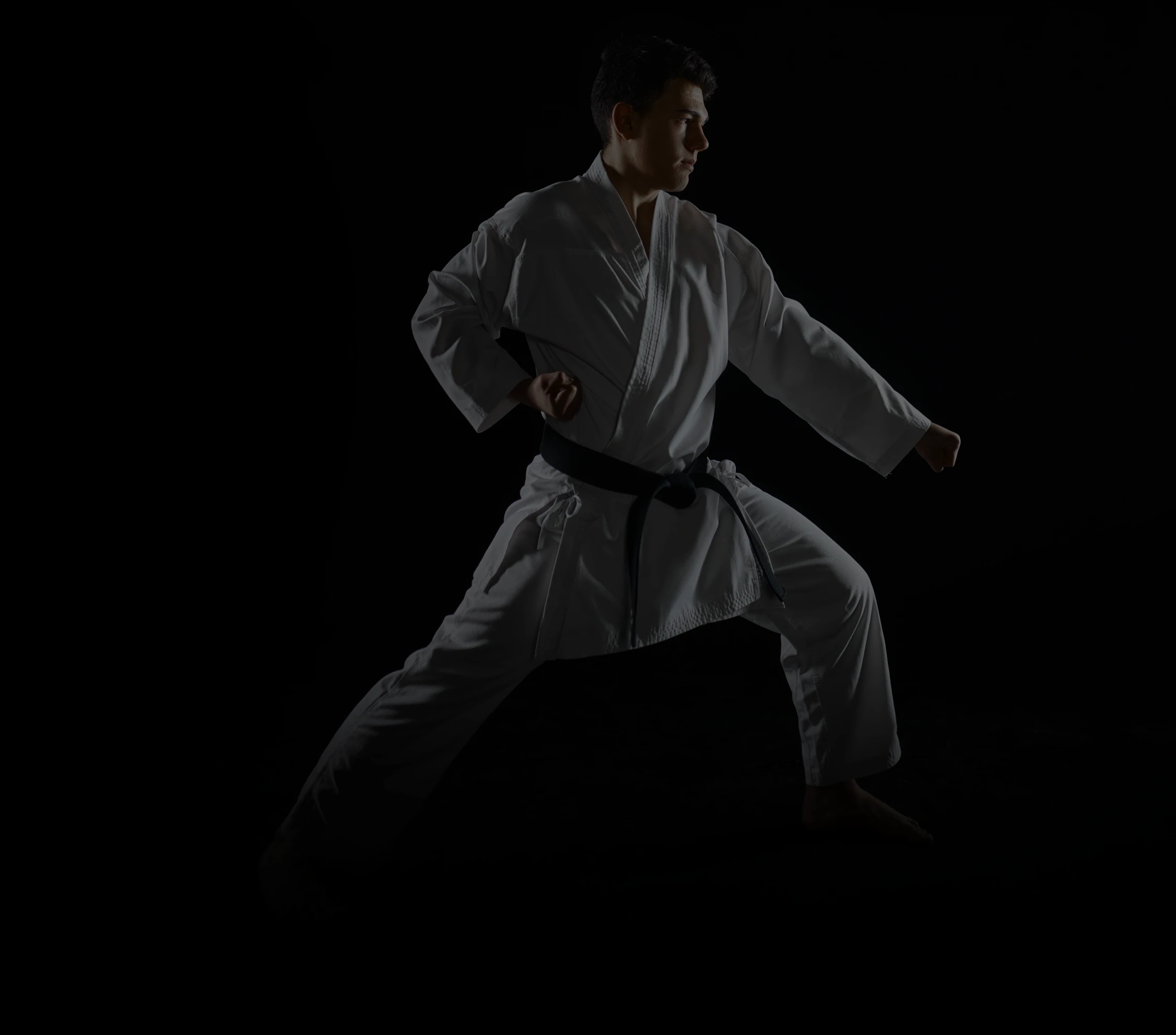Background Portrait Image